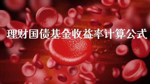 理财国债基金收益率计算公式_https://www.qdlswl.com_基金_第1张