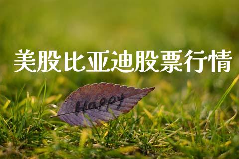 美股比亚迪股票行情_https://www.qdlswl.com_外盘_第1张