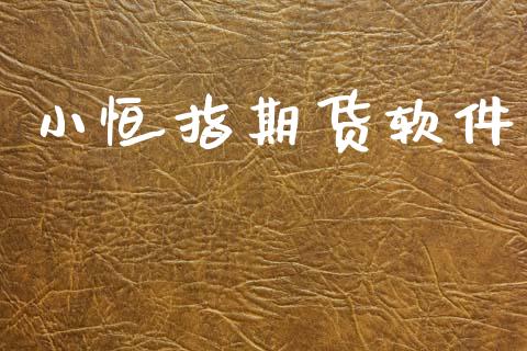 小恒指期货软件_https://www.qdlswl.com_股指_第1张