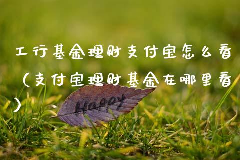 工行基金理财支付宝怎么看（支付宝理财基金在哪里看）_https://www.qdlswl.com_理财_第1张