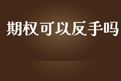 期权可以反手吗_https://www.qdlswl.com_内盘_第1张