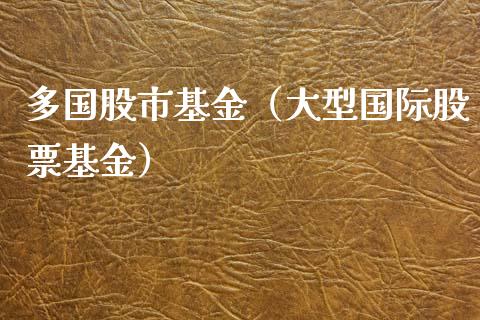 多国股市基金（大型国际股票基金）_https://www.qdlswl.com_基金_第1张