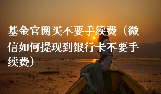 基金官网买不要手续费（微信如何提现到银行卡不要手续费）_https://www.qdlswl.com_理财_第1张