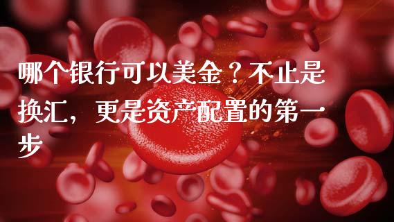 哪个银行可以美金？不止是换汇，更是资产配置的第一步_https://www.qdlswl.com_期货_第1张