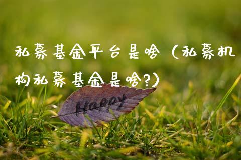 私募基金平台是啥（私募机构私募基金是啥?）_https://www.qdlswl.com_基金_第1张