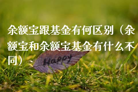 余额宝跟基金有何区别（余额宝和余额宝基金有什么不同）_https://www.qdlswl.com_理财_第1张