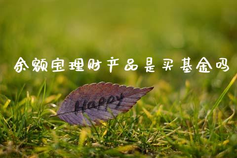 余额宝理财产品是买基金吗_https://www.qdlswl.com_基金_第1张