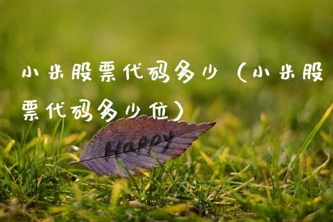 小米股票代码多少（小米股票代码多少位）_https://www.qdlswl.com_外盘_第1张