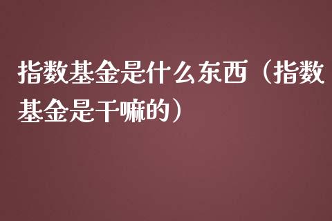 指数基金是什么东西（指数基金是干嘛的）_https://www.qdlswl.com_理财_第1张