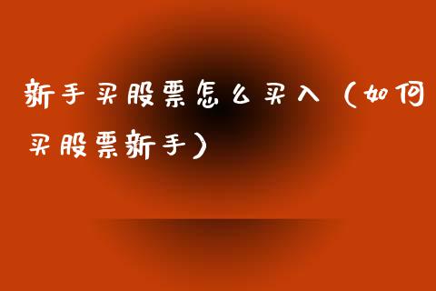 新手买股票怎么买入（如何买股票新手）_https://www.qdlswl.com_内盘_第1张