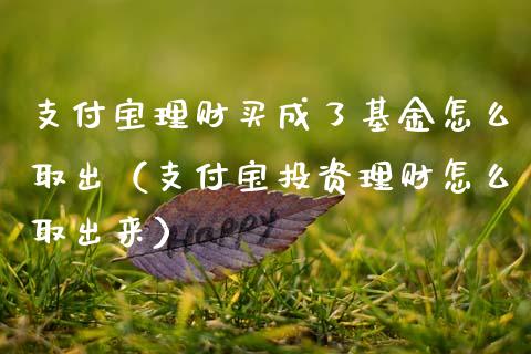支付宝理财买成了基金怎么取出（支付宝投资理财怎么取出来）_https://www.qdlswl.com_理财_第1张