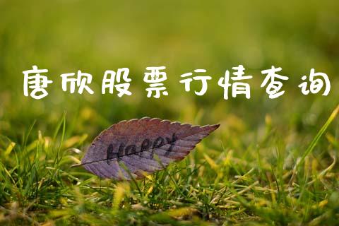 唐欣股票行情查询_https://www.qdlswl.com_外盘_第1张
