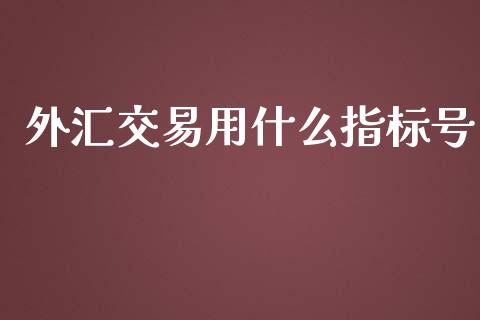 外汇交易用什么指标号_https://www.qdlswl.com_内盘_第1张