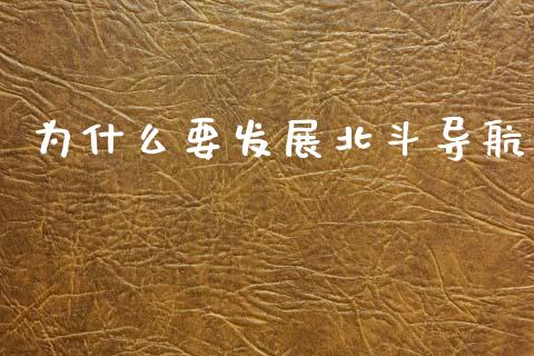 为什么要发展北斗导航_https://www.qdlswl.com_理财_第1张