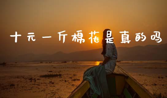 十元一斤棉花是真的吗_https://www.qdlswl.com_期货_第1张