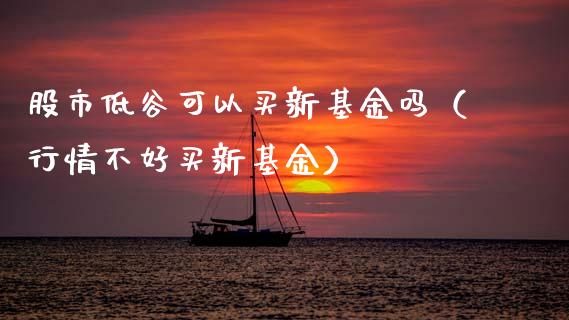 股市低谷可以买新基金吗（行情不好买新基金）_https://www.qdlswl.com_基金_第1张