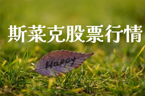 斯菜克股票行情_https://www.qdlswl.com_股票_第1张