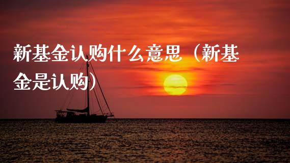 新基金认购什么意思（新基金是认购）_https://www.qdlswl.com_理财_第1张