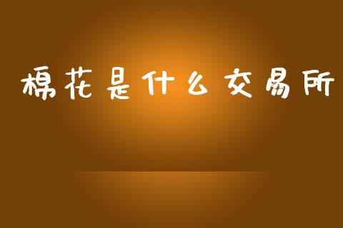 棉花是什么交易所_理财_第1张_青岛财经网 棉花是什么交易所_https://www.qdlswl.com_理财_第1张