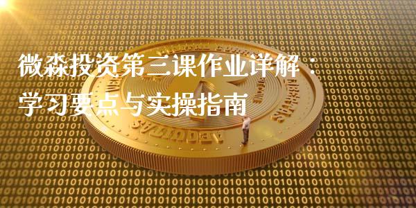 微淼投资第三课作业详解：学习要点与实操指南_https://www.qdlswl.com_期货_第1张