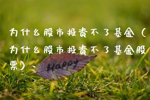 为什么股市投资不了基金（为什么股市投资不了基金股票）_https://www.qdlswl.com_理财_第1张