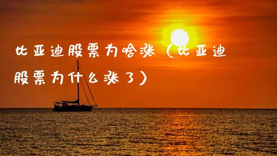 比亚迪股票为啥涨（比亚迪股票为什么涨了）_https://www.qdlswl.com_股票_第1张