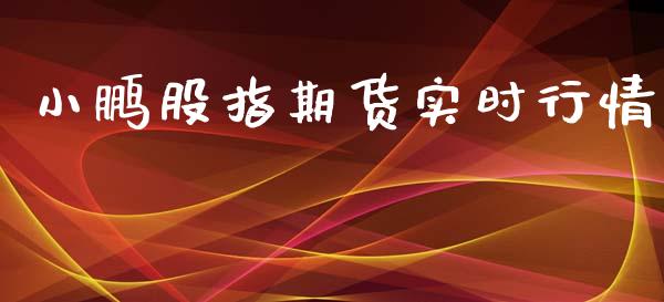 小鹏股指期货实时行情_https://www.qdlswl.com_期货_第1张