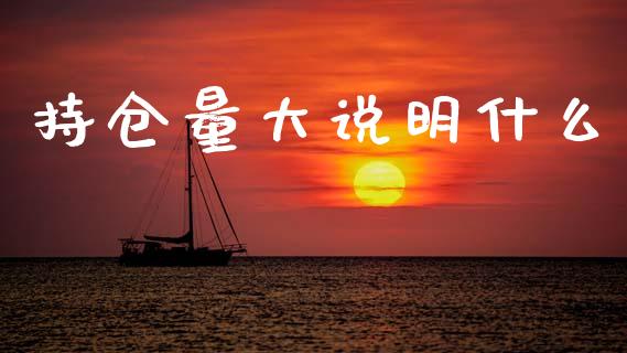 持仓量大说明什么_https://www.qdlswl.com_期货_第1张