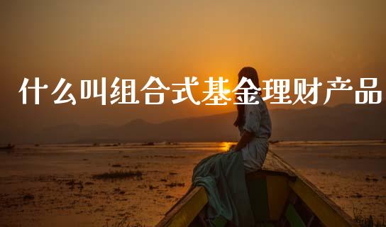 什么叫组合式基金理财产品_https://www.qdlswl.com_理财_第1张