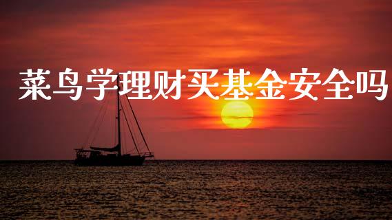 菜鸟学理财买基金安全吗_https://www.qdlswl.com_基金_第1张