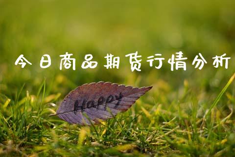 今日商品期货行情分析_https://www.qdlswl.com_股指_第1张