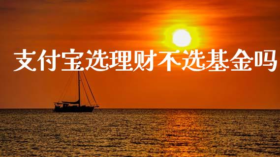 支付宝选理财不选基金吗_https://www.qdlswl.com_基金_第1张