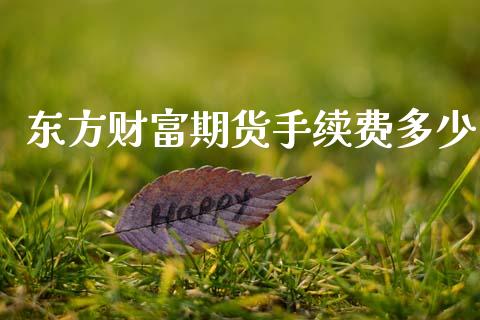 东方财富期货手续费多少_https://www.qdlswl.com_期货_第1张