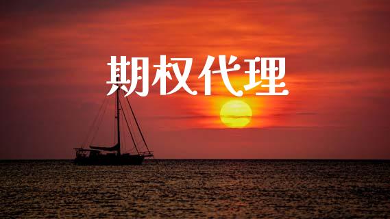 期权代理_https://www.qdlswl.com_股票_第1张