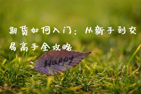 期货如何入门：从新手到交易高手全攻略_https://www.qdlswl.com_外盘_第1张