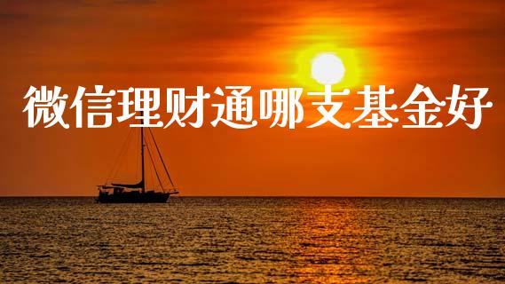 微信理财通哪支基金好_https://www.qdlswl.com_基金_第1张