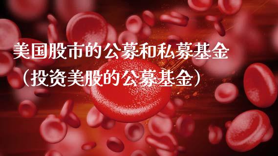 美国股市的公募和私募基金（投资美股的公募基金）_https://www.qdlswl.com_理财_第1张