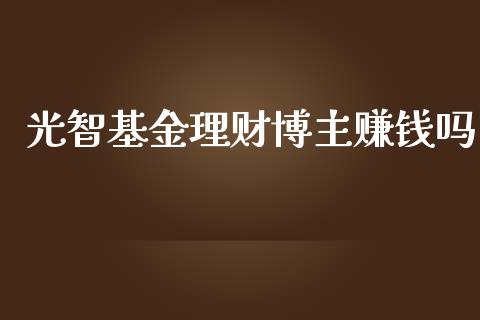 光智基金理财博主赚钱吗_https://www.qdlswl.com_理财_第1张