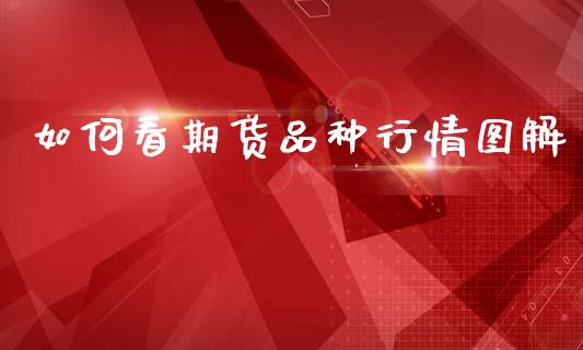 如何看期货品种行情图解_https://www.qdlswl.com_期货_第1张