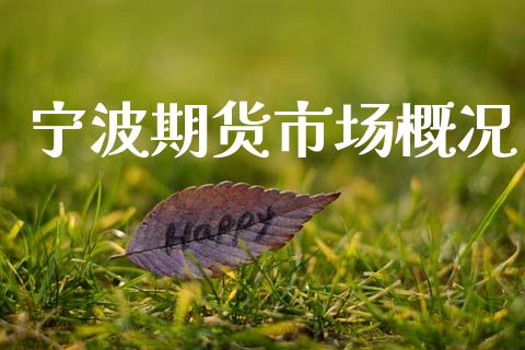 宁波期货市场概况_https://www.qdlswl.com_内盘_第1张