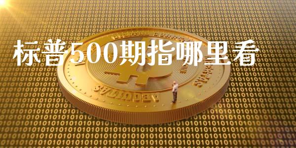 标普500期指哪里看_期货_第1张_青岛财经网 标普500期指哪里看_https://www.qdlswl.com_期货_第1张