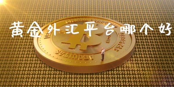 黄金外汇平台哪个好_https://www.qdlswl.com_理财_第1张