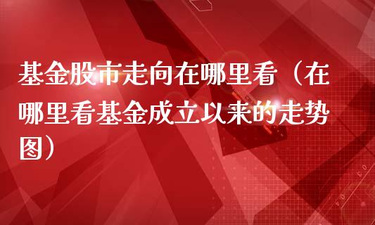 基金股市走向在哪里看（在哪里看基金成立以来的走势图）_https://www.qdlswl.com_理财_第1张