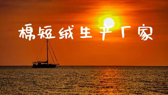 棉短绒生产厂家_https://www.qdlswl.com_股指_第1张