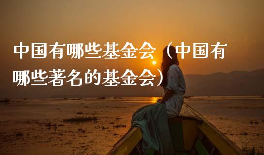 中国有哪些基金会（中国有哪些著名的基金会）_https://www.qdlswl.com_理财_第1张