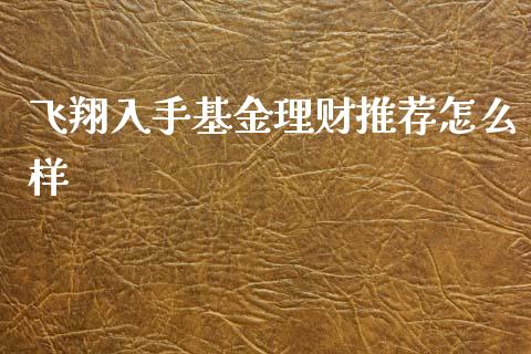 飞翔入手基金理财推荐怎么样_https://www.qdlswl.com_理财_第1张