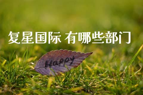 复星国际 有哪些部门_https://www.qdlswl.com_股指_第1张
