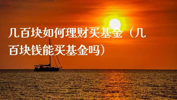 几百块如何理财买基金（几百块钱能买基金吗）_https://www.qdlswl.com_理财_第1张