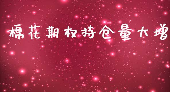 棉花期权持仓量大增_https://www.qdlswl.com_股指_第1张