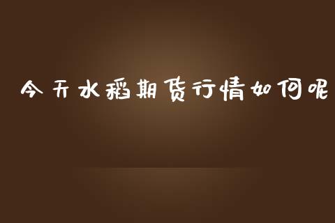 今天水稻期货行情如何呢_https://www.qdlswl.com_股指_第1张